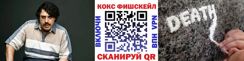 Cocaine FishScale  Купить закладки  Катав-Ивановск 