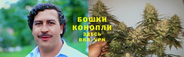 бутират Горняк