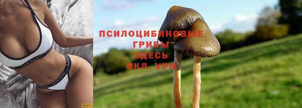 Альфа ПВП Горнозаводск