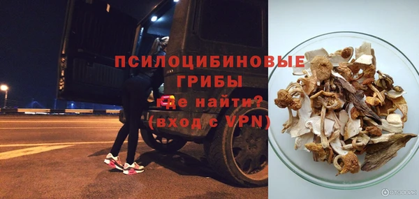 Альфа ПВП Горнозаводск