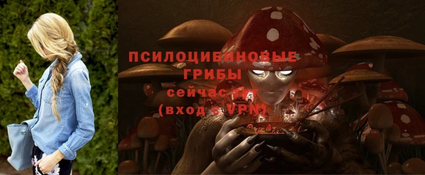 ALPHA PVP Горно-Алтайск