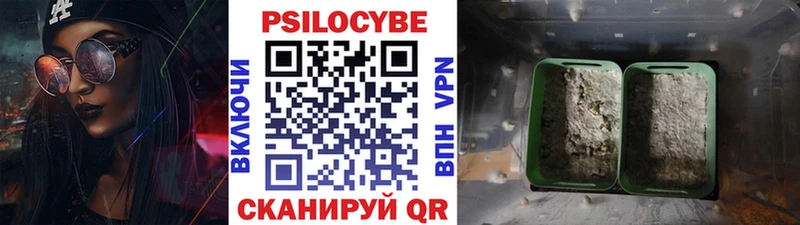 Галлюциногенные грибы Magic Shrooms  Купить  Катав-Ивановск 