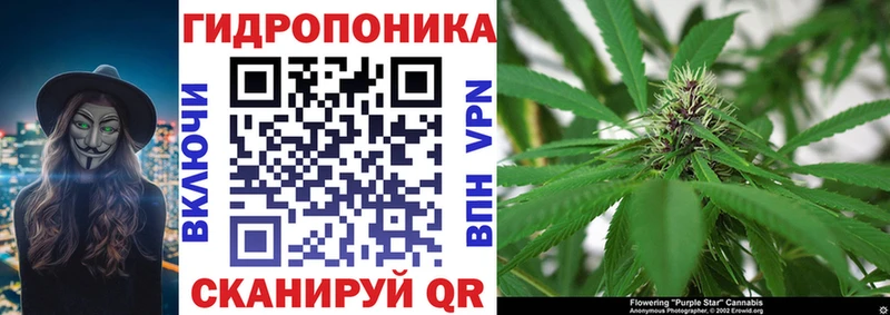 Купить где  Катав-Ивановск  Бошки Шишки White Widow 